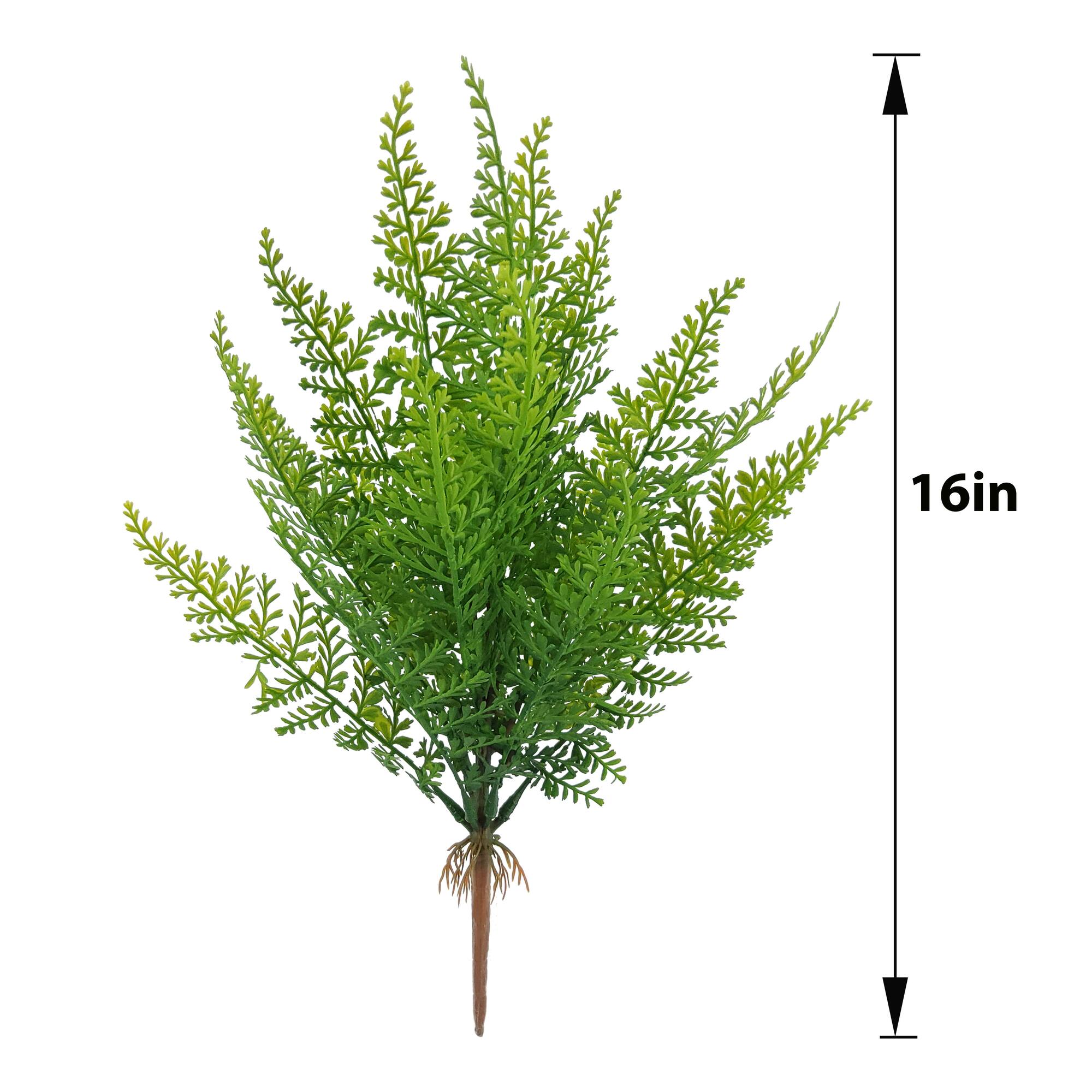 16" Coral Fern by Ashland®